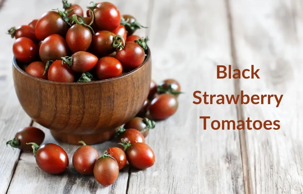 Black Strawberry Tomatoes