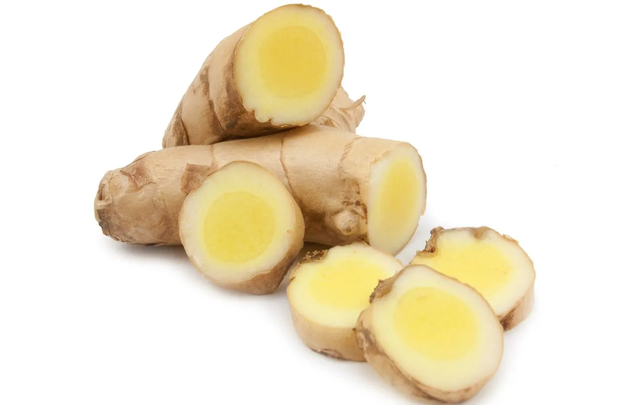 White Turmeric