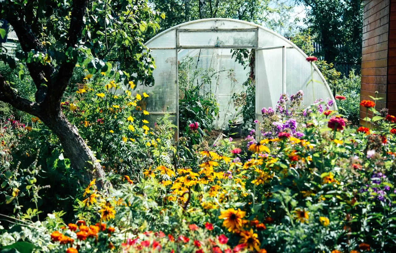 Low-Cost Greenhouse