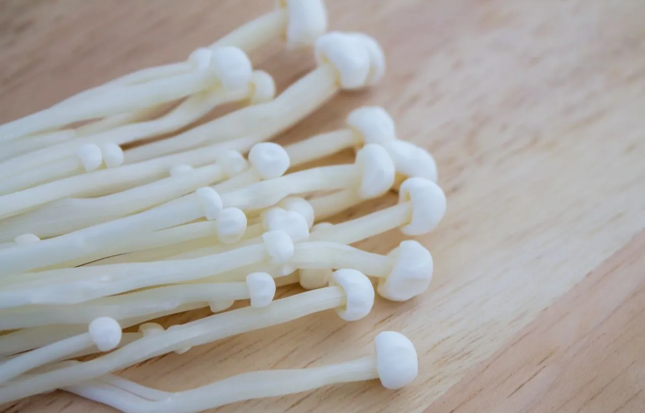 How to Grow Enoki Mushrooms