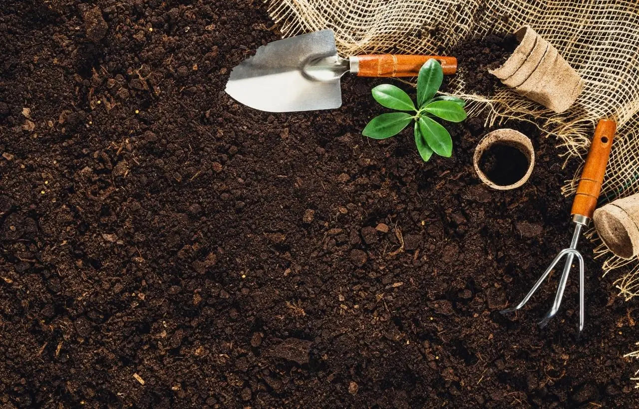 How to prepare the soil for a garden