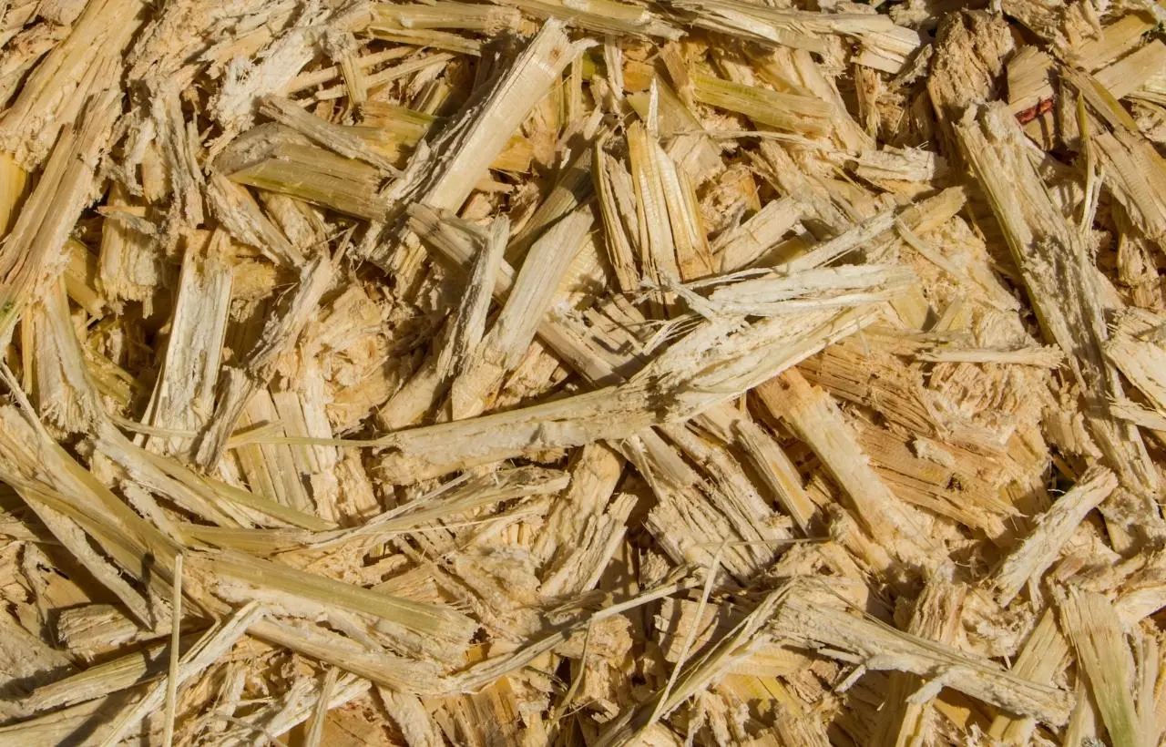 Sugar Cane Mulch