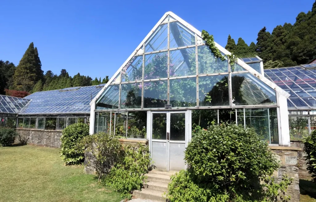 Everything That You Need to Know About Hartley Greenhouse