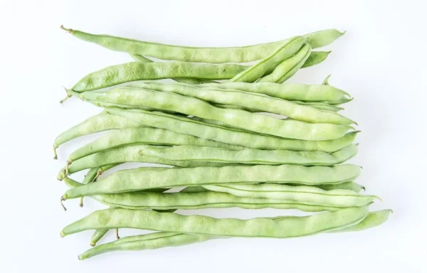  grow Kentucky wonder Pole beans