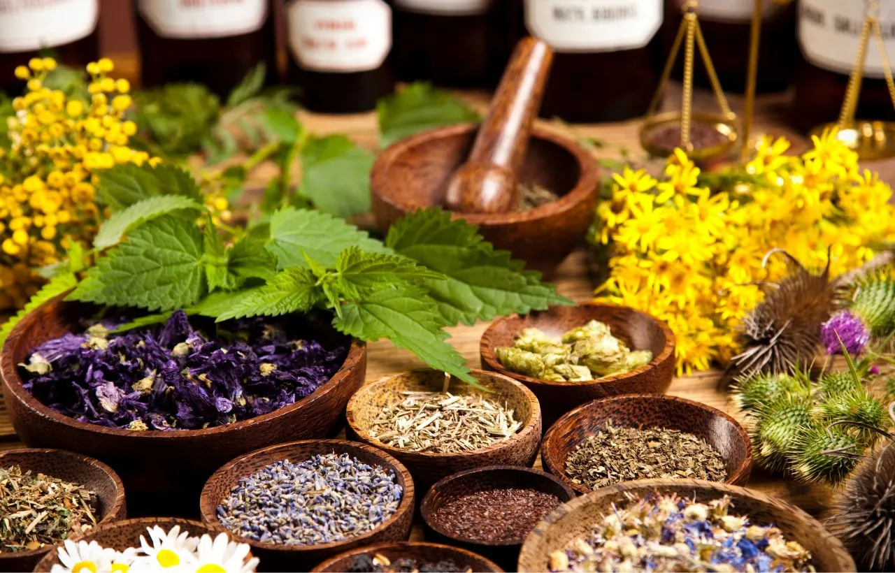 10 Holy Herbs for Protection as Magic Spell & Health Favors - Gardening ...