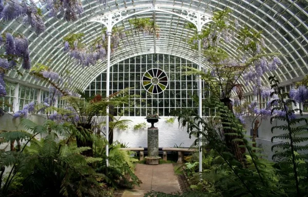 Brooklyn Botanic Garden