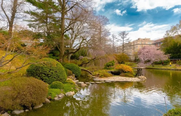 The 5 most beautiful gardens in New York