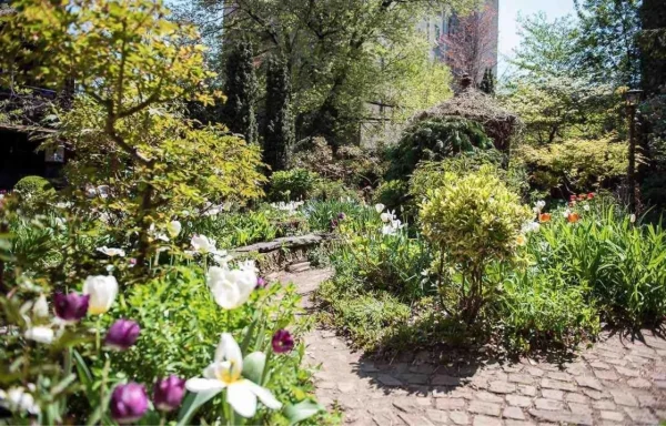 The 5 most beautiful gardens in New York