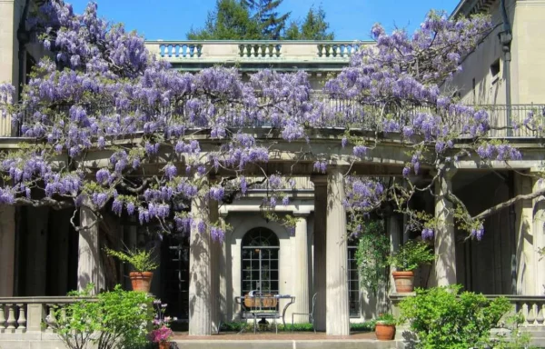 Top Five most Beautiful Gardens in New Jersey