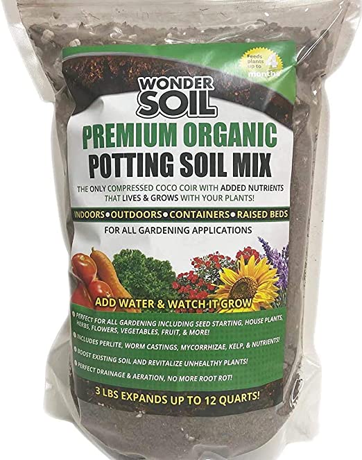 potting soil for indoor plants