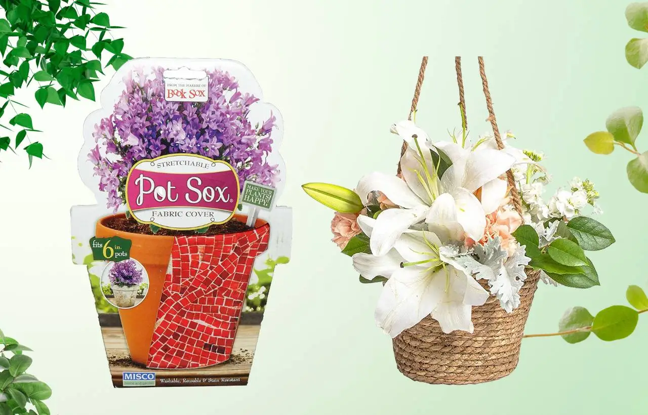 Best tips for wonderful wrapped potted plants