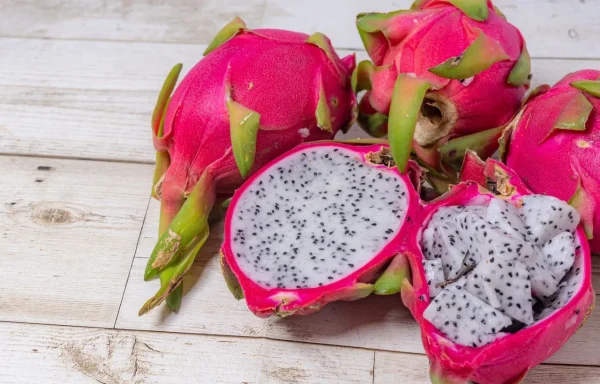 dragon fruit plant indoors