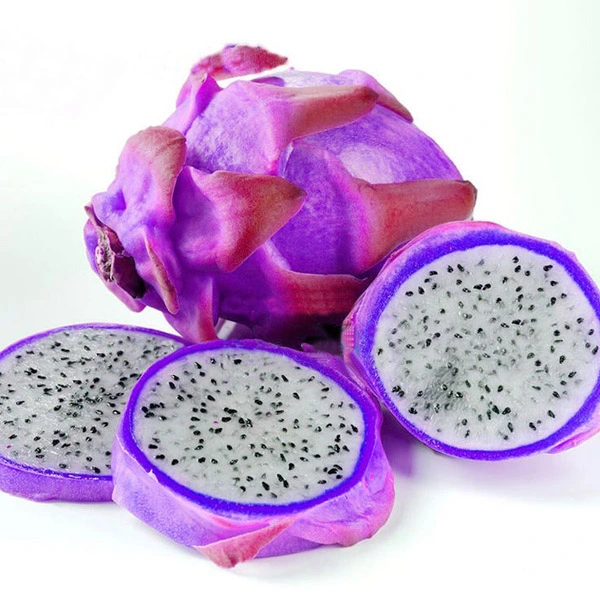 A complete guide to blue dragon fruit plant growing and care
