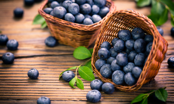 Delights of Blueberries