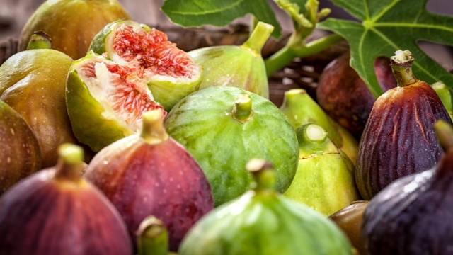 Figs Growing