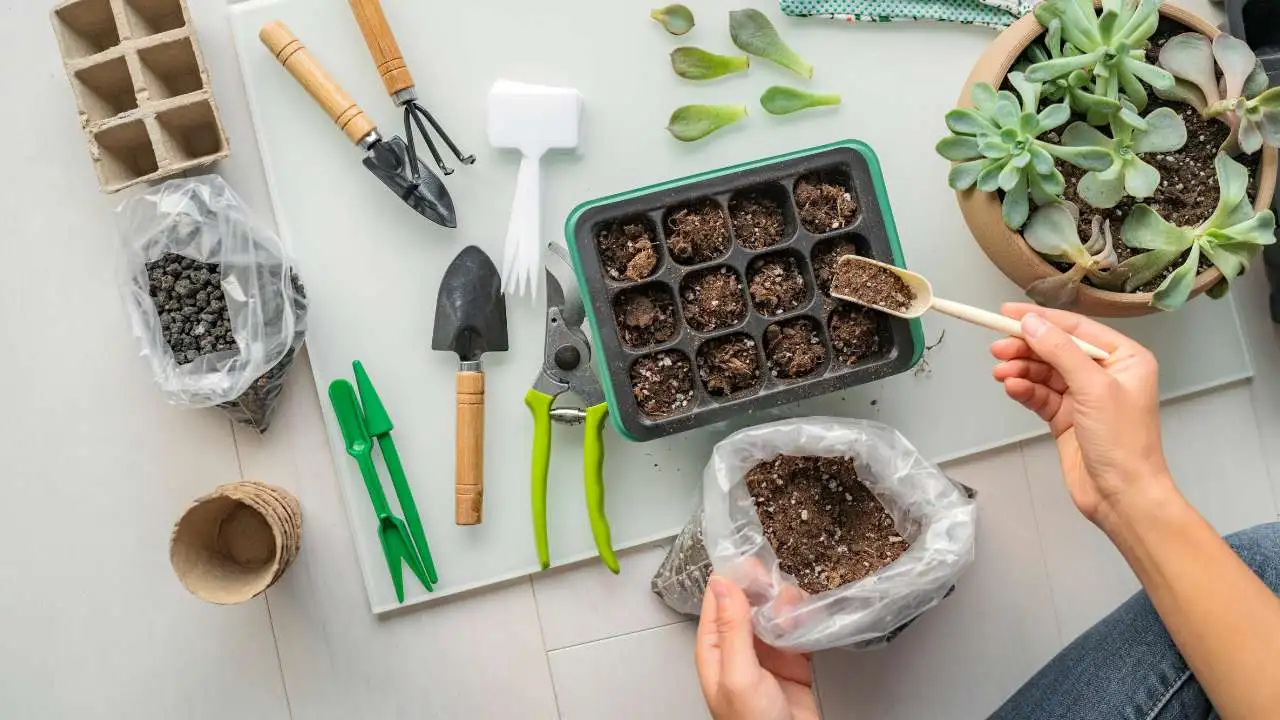 Starting Seeds Indoors: A Gardener's Guide to Early Planting