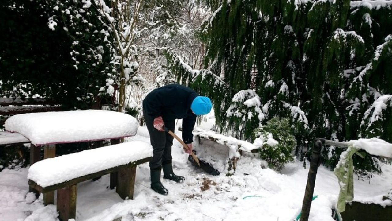 Maintenance and Care: Keeping Your Snow Garden Flourishing All Season Long