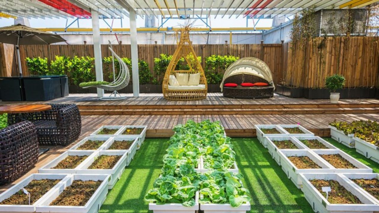 Maximizing Space: Vertical Gardening and Creative Arrangements