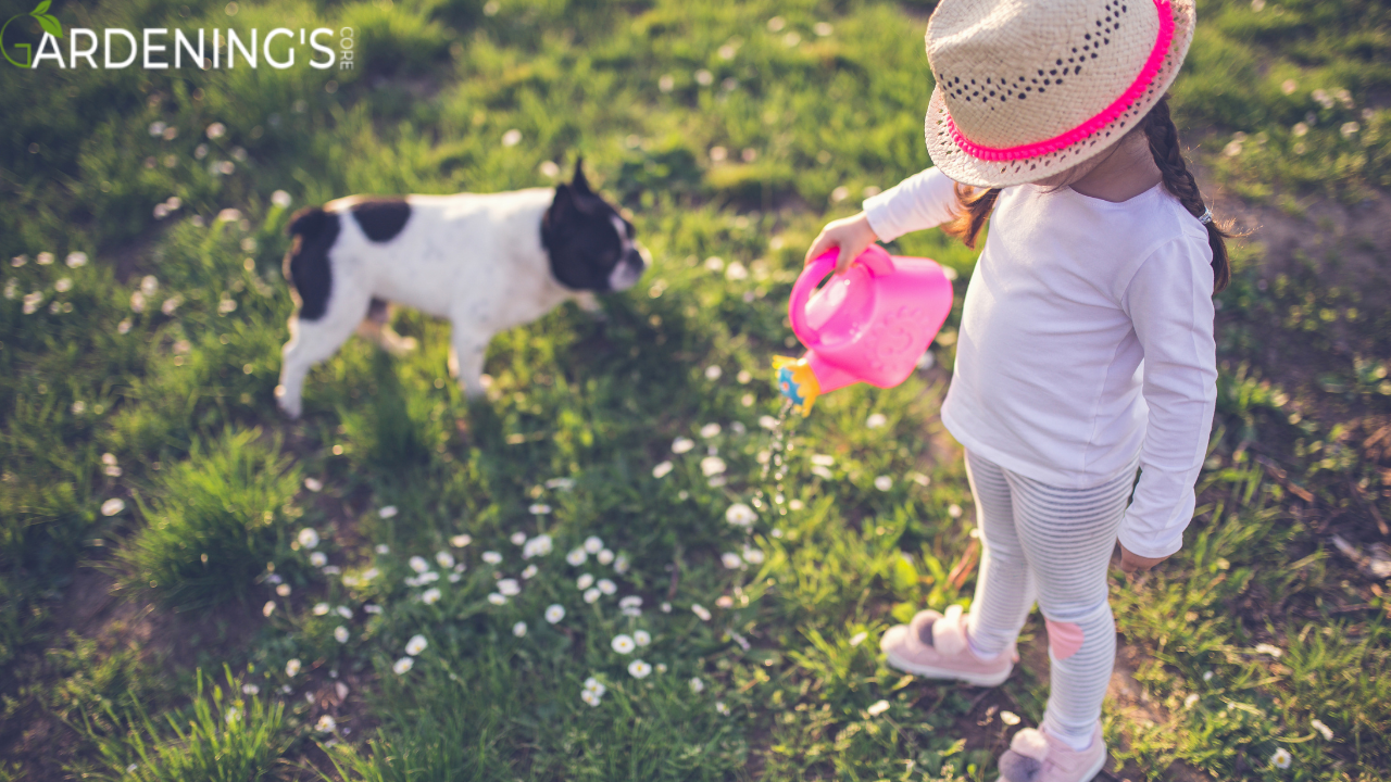 Best Practices for Watering Flowers