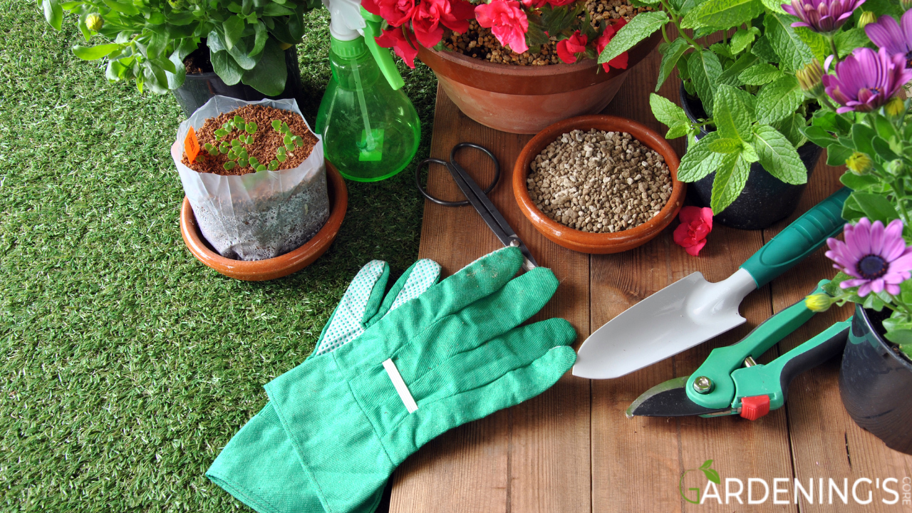 Tools and Equipment for Watering Flowers