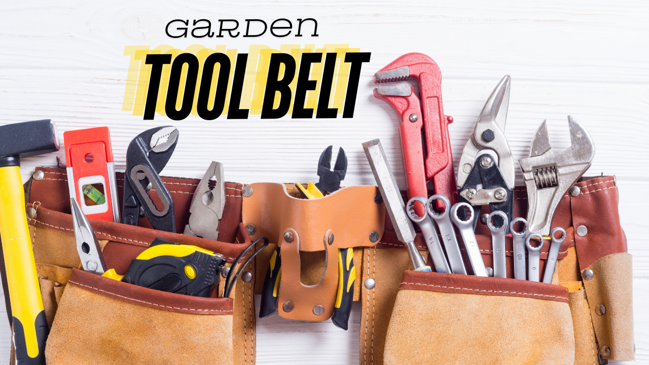 Garden Tool Belt