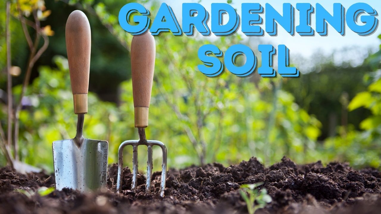 Gardening Soil